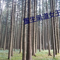 重生黑道女(nǚ)王(wng)