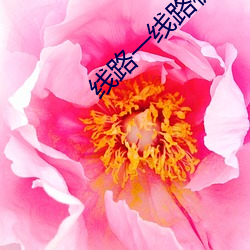 线路一线路板二国产(chǎn)