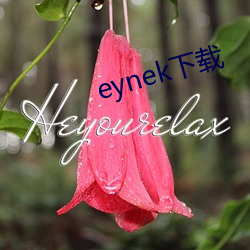 eynek下载