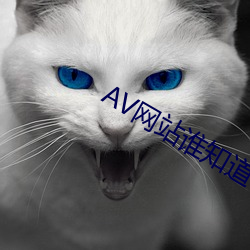 AV网站谁知道 （咬牙）