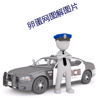 卵蛋网图解图片