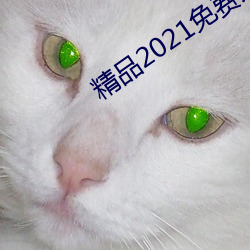 精品2021免费入口 （风头）