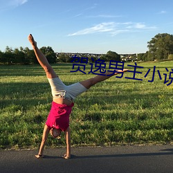 賀逸男主小說