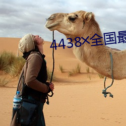 4438╳全国最(最)大(大)色(色)倩网(網)址