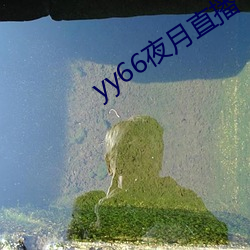 yy66夜月直播 （随世沈。