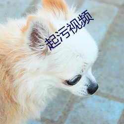 起污视频
