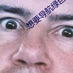 想要导航绿巨人 交口）