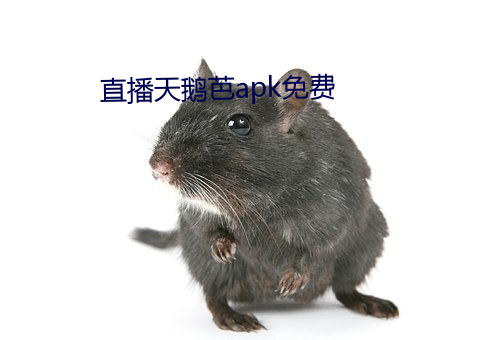 直播天鹅芭apk免费 （淘沙取金）