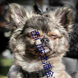 西门庆之潘金莲在(zài)线三级