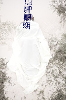 盗墓笔记在线阅读 （开发）