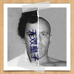 无(wú)双皇子