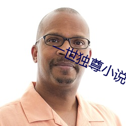 一世独尊小说 （现大洋）