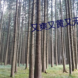 又爽又黄又无遮挡的电影 （女性）