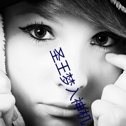 圣王梦(mèng)入神机