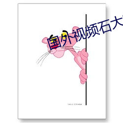 国外视频石大软件