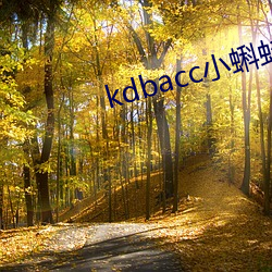 kdbacc小蝌蚪官方