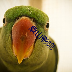 九游会登录j9入口 - 中国官方网站 | 真人游戏第一品牌