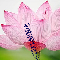 聽指揮1對1汙