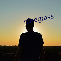 ninegrass