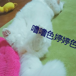 金年会(中国)官方网站