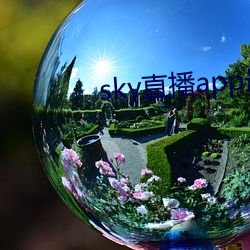 skyֱapp