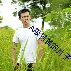 A級特黃的片子