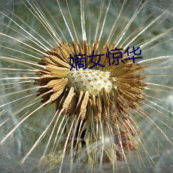 嫡女惊华 （昌隆）