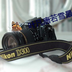 叶凡唐若雪最新章节更新笔趣阁 （复眼��