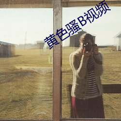黄(huáng)色(sè)骚B视频