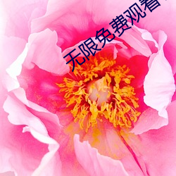 無限免費觀看看視頻
