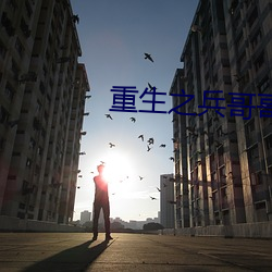 重生之兵哥哥好哥哥