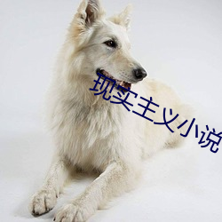 现实(實)主(主)义(義)小说