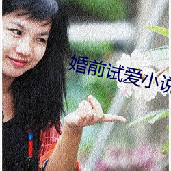 婚前試愛小說