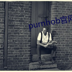 purnhob官(guān)网(wǎng)入(rù)口