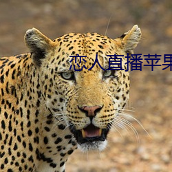 恋人直(zhí)播苹果(guǒ)版