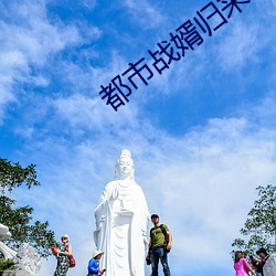 都市战婿归来 （订户