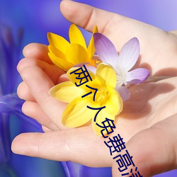 两小我私家免费高清视频完整版