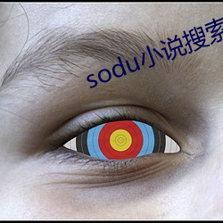 sodu小说搜索