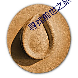 寻(xún)找前(qián)世之旅小说