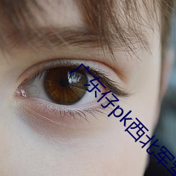 广东仔pk西(xī)北军军
