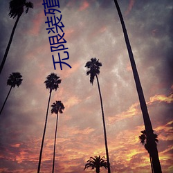 无(無)限装殖
