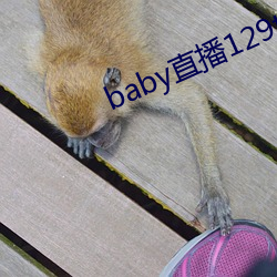 baby直播129tv新版本 （太阳地儿