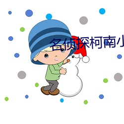 名侦(偵)探(探)柯南(南)小(小)说