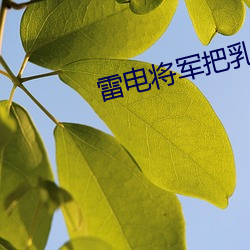 欧博abg - 官方网址登录入口