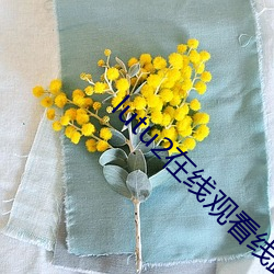 lutu2在線觀看線路測試