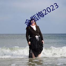 金瓶梅2023