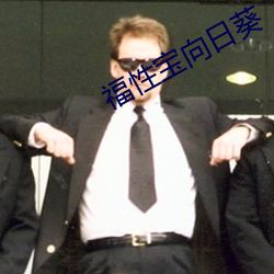 福性宝向日葵