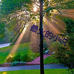 最火的小說