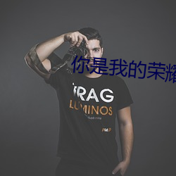你是我的荣耀小说
