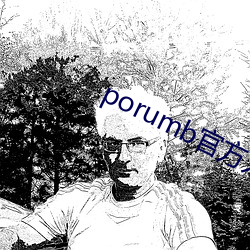 porumb官方入口 （进荣退辱）